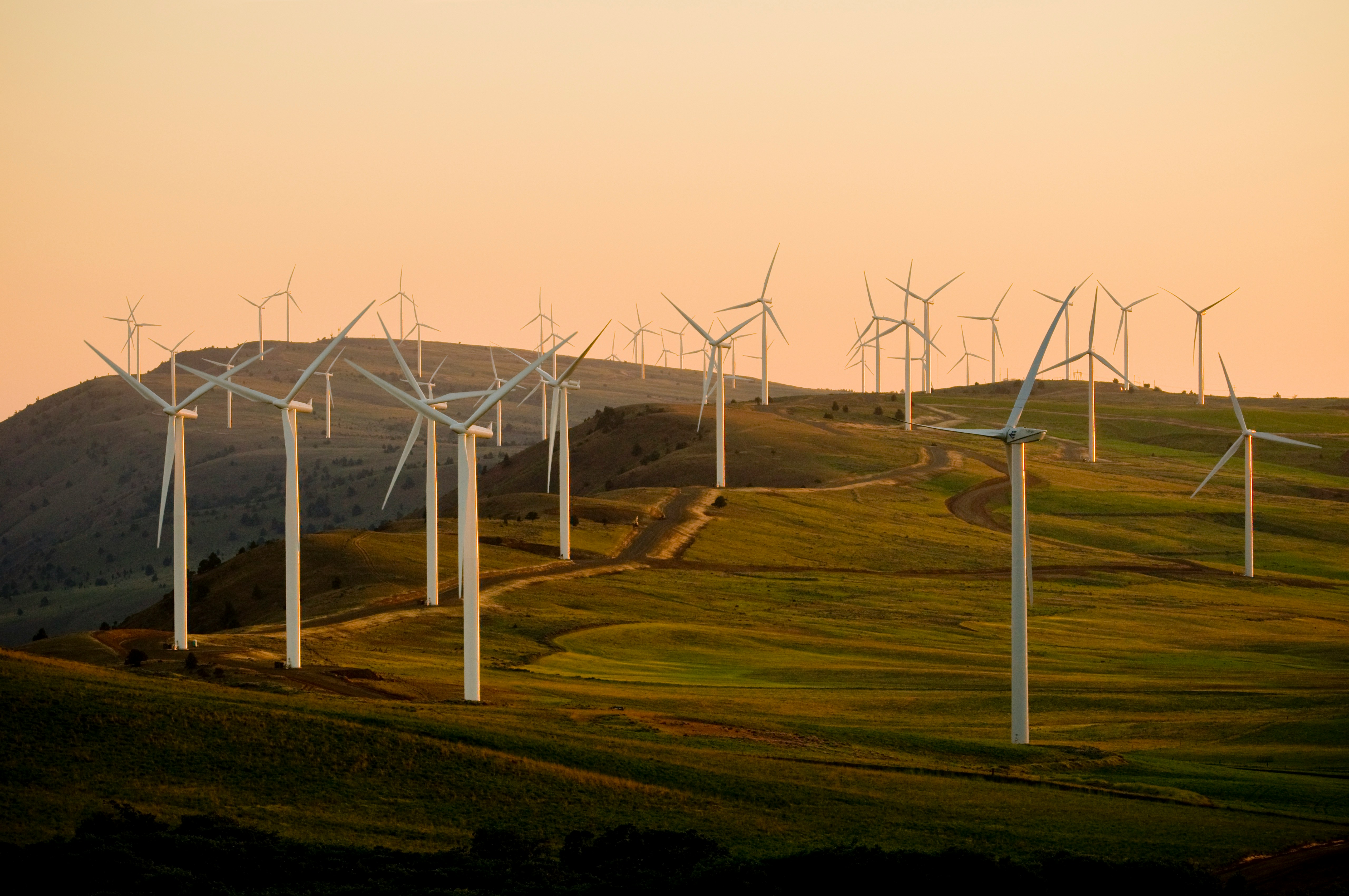 Windfarm